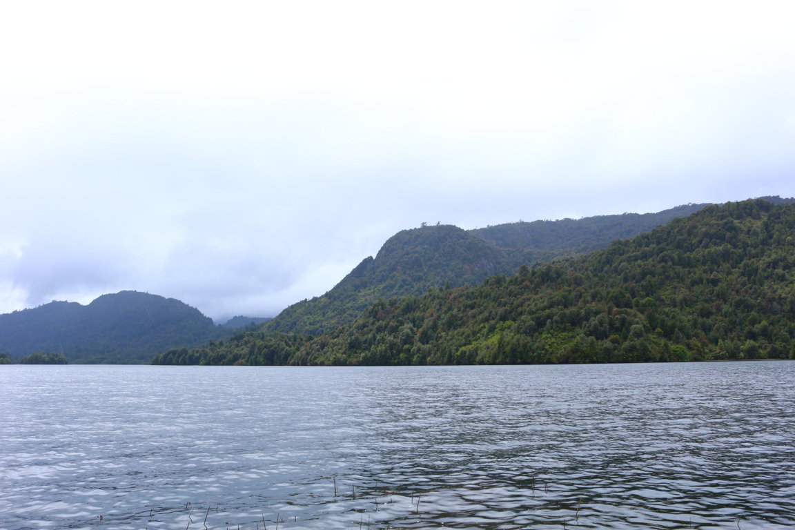 Roosevelt Lake Patagonia for sale