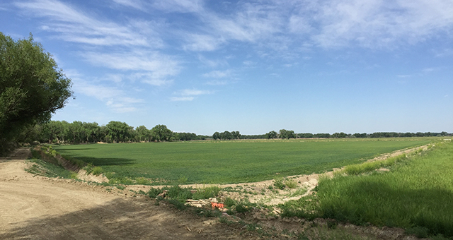 Thorson Arkansas River Farm