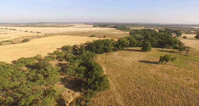 Wallace Creek Ranch in Texas