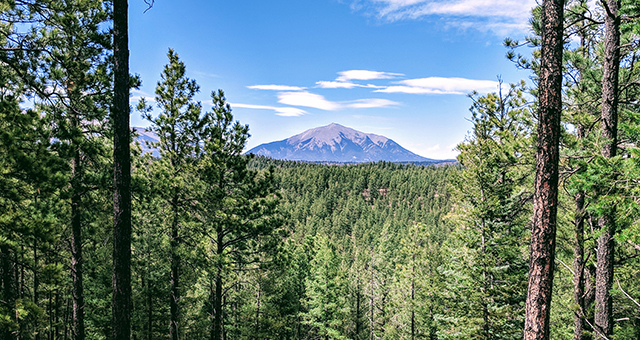 wilderness ridge ranch for sale