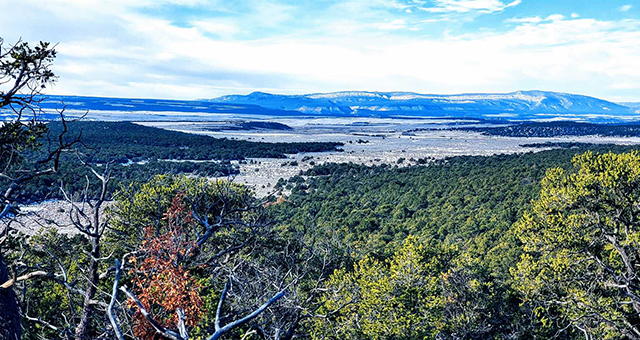 new mexico ranch for sale