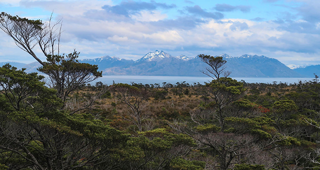 Cape Froward Chile