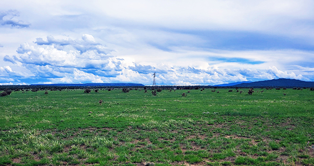 Long Canyon Ranch Colorado for sale