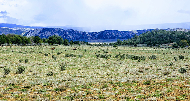 Sanctuary Ranch for sale New Mexico