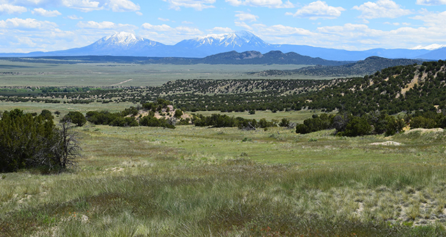 Badito Ranch Colorado