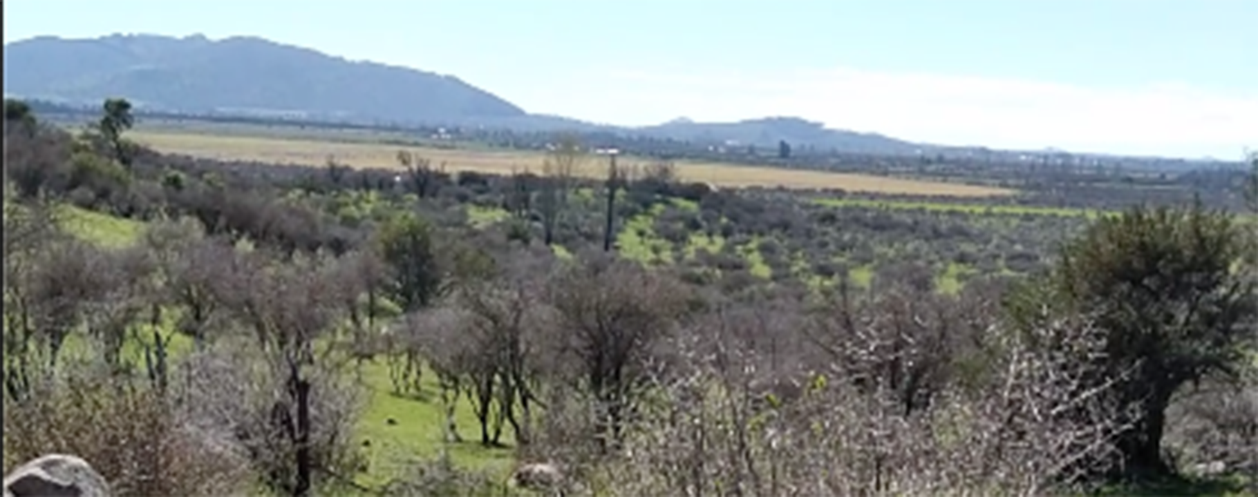 12 Acres of Land in Chile